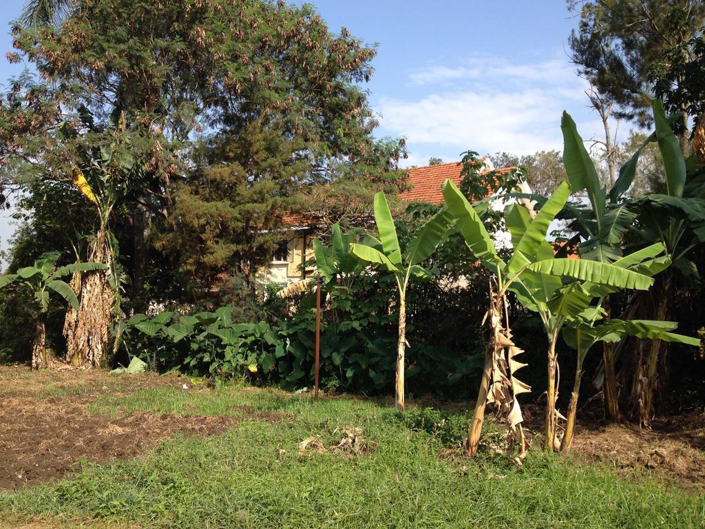 Готель Bikeventures House Uganda Джінджа Екстер'єр фото